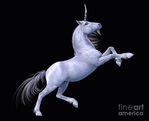 Unicorn Rearing Black Background by Elle Arden Walby Unicorn Rearing Black Background by Elle Arden Walby