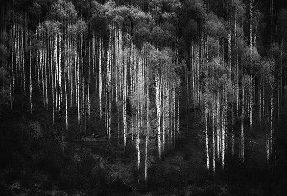 Wall Art - Photograph - Untitled by Atul Chopra