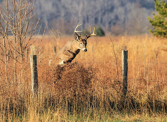 Up and Over by Doug McPherson Up and Over by Doug McPherson