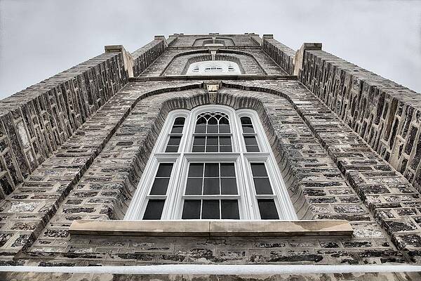 Wall Art - Photograph - Up by David Andersen