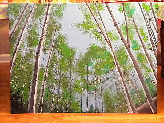 Up through the Aspens by Steven Kuc