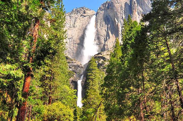 Photograph - Upper And Lower Yosemite Falls - Yosemite National Park - California by Bruce Friedman