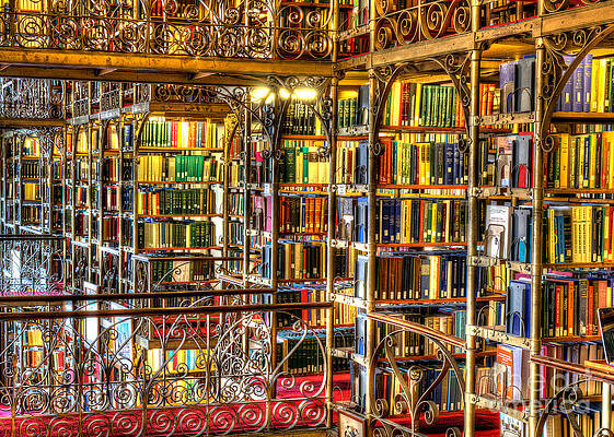 Uris Library Cornell University by Brad Marzolf Photography Uris Library Cornell University by Brad Marzolf Photography
