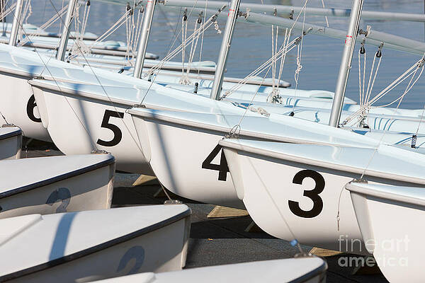 Wall Art featuring the photograph US Navy Training Sailboats I by Clarence Holmes