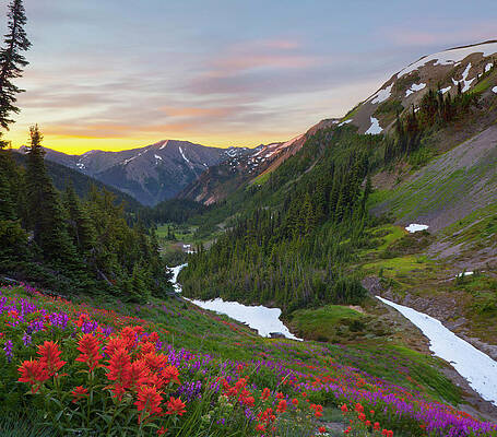 Wall Art - Photograph - USA Washington State, Olympic National by Gary Luhm