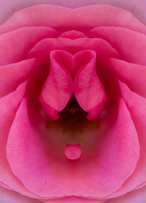 Valentine Abstract by David Weisbach