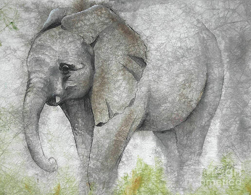 Vanishing Thunder Series-Baby Elephant I by Suzanne Schaefer Vanishing Thunder Series-Baby Elephant I by Suzanne Schaefer