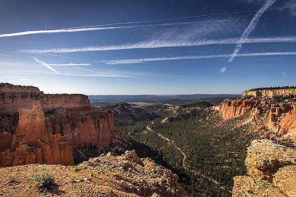 Varied Paths by Dwight Theall Varied Paths by Dwight Theall