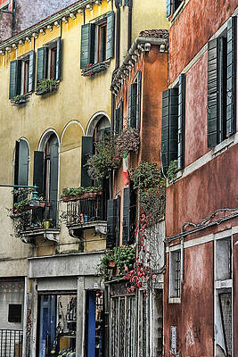Windows in Venice by Tom Prendergast Windows in Venice by Tom Prendergast