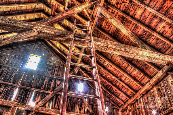 Vertigo in the Country by Christopher Jones