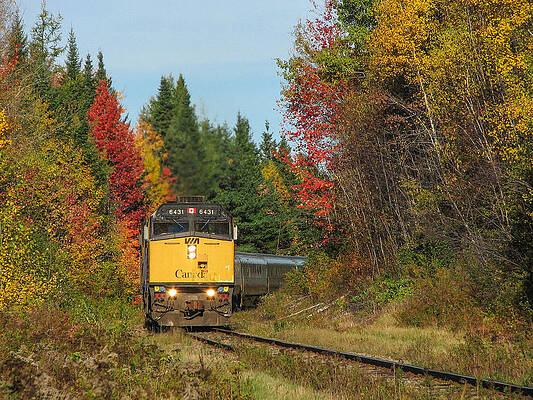 Fall Colours With Train by Steve Boyko