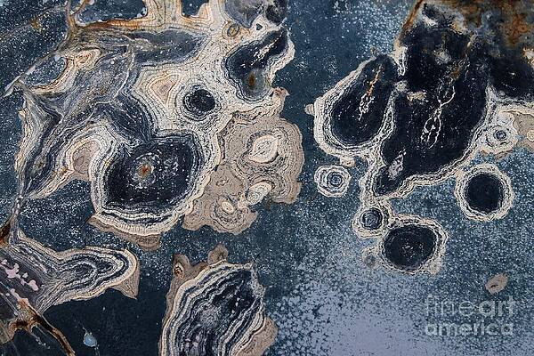 Wall Art - Photograph - View From Above by Robert D McBain