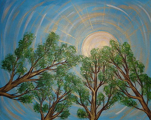 View from Below by Angie Butler View from Below by Angie Butler