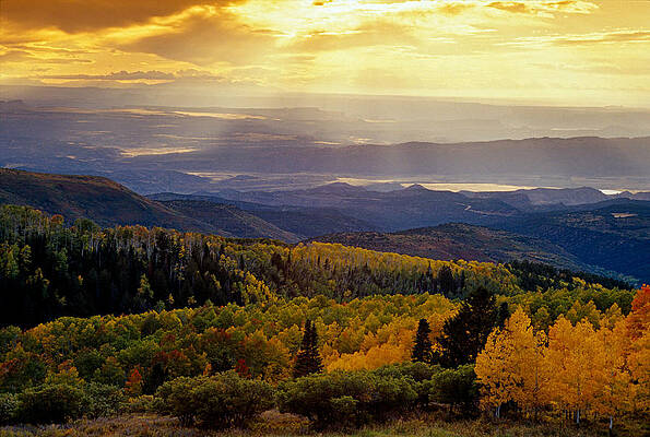 Wall Art - Photograph - View Of Fall Colors And Desert From La by Whit Richardson