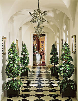 Wall Art - Photograph - View Of Pine Tree In Corridor by Mary E. Nichols