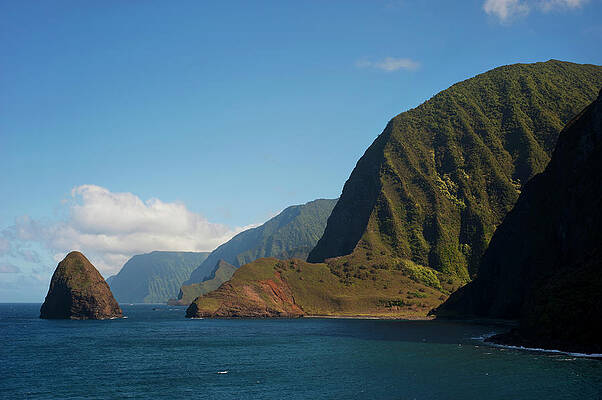 Wall Art - Photograph - View Of The Cliffs And Ocean by Elyse Butler