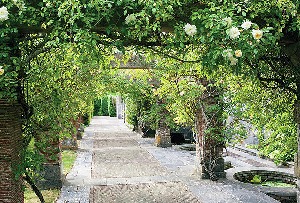 Wall Art - Photograph - Vine Covered Columns And  Garden Path by Tim Beddow