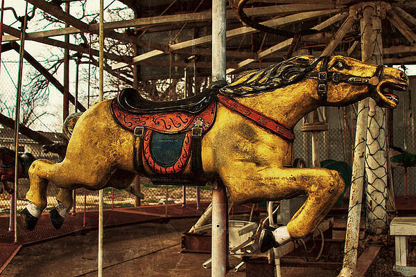 Vintage Carousel Horses 013 by TONY GRIDER Vintage Carousel Horses 013 by TONY GRIDER