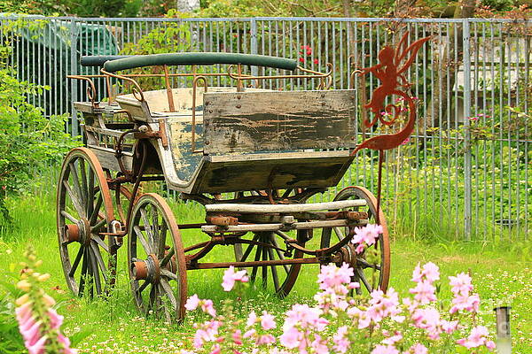 Vintage horse carriage in a flower bed by Amanda Mohler Vintage horse carriage in a flower bed by Amanda Mohler