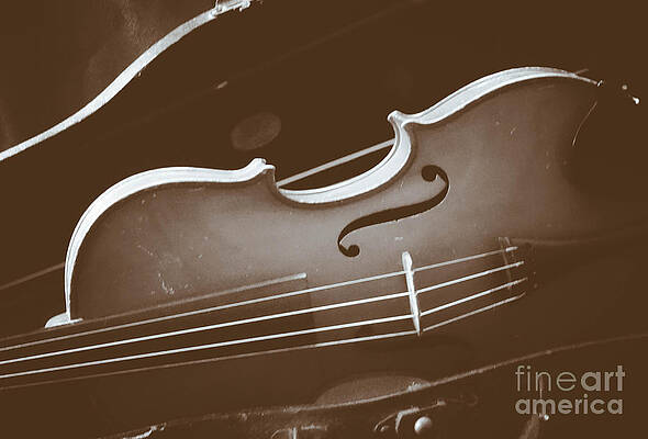Vintage Violin by Stacy Michelle Smith Vintage Violin by Stacy Michelle Smith