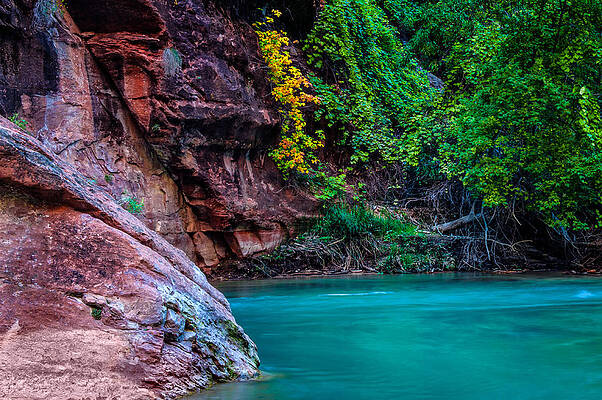 Virgin River II Zion National Park Utah by George Buxbaum Virgin River II Zion National Park Utah by George Buxbaum