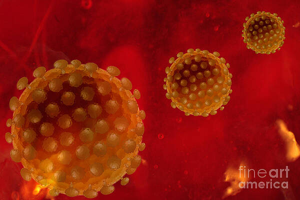 Wall Art - Photograph - Virus Particles In Bloodstream by Sigrid Gombert