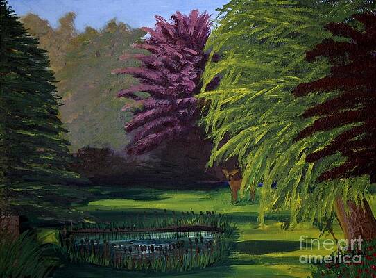Visitor to the Backyard Pond by Vicki Maheu Visitor to the Backyard Pond by Vicki Maheu