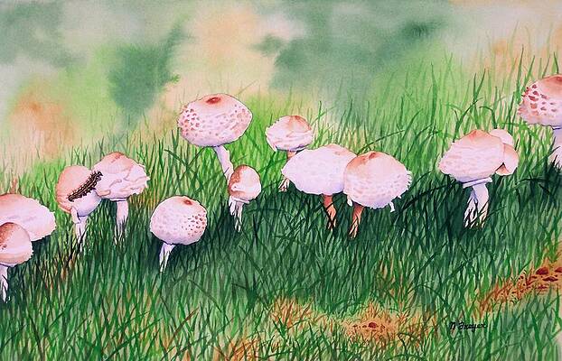 Visitor to the Fairy Ring by Norman Freyer Visitor to the Fairy Ring by Norman Freyer