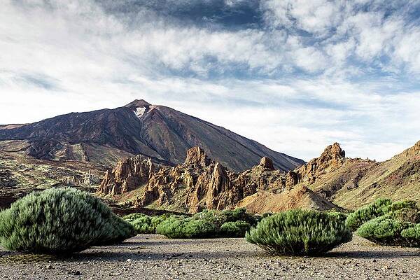 Wall Art - Photograph - Volcano Teide, With Cloudy Sky And Pine by Raffi Maghdessian