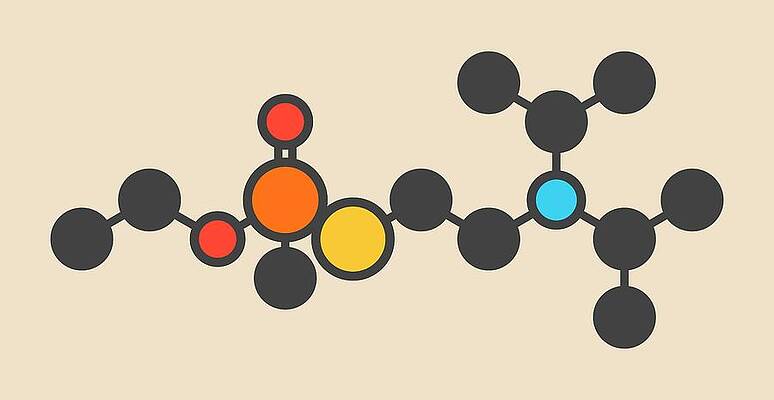 Wall Art - Photograph - Vx Nerve Agent Molecule by Science Photo Library