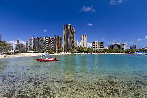 Waikiki Beach Hotels Condominiums Honolulu Hawaii by Jianghui Zhang