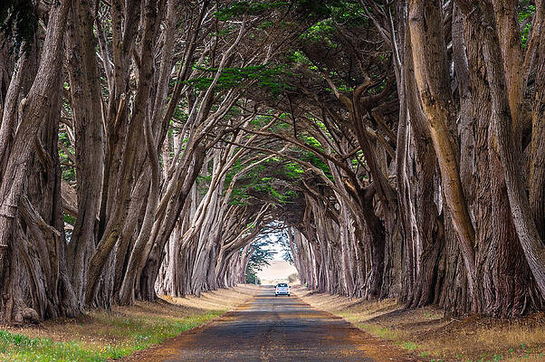 Wait for Me at the End of Tunnel by Shuwen Wu Wait for Me at the End of Tunnel by Shuwen Wu