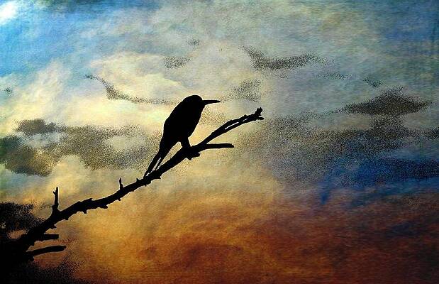 Waiting for the locust by Dave Hrusecky