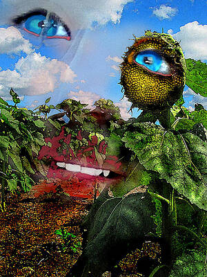 Waiting For the Sun by James Huntley Waiting For the Sun by James Huntley