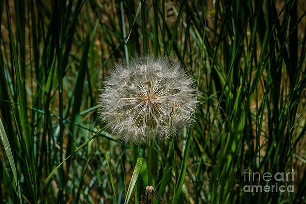 waiting for the wind by George DeLisle waiting for the wind by George DeLisle