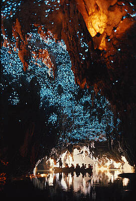 Wall Art - Photograph - Waitomo Glowworm Caves, New Zealand by Brian Brake