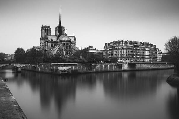 Waking Up at Notre Dame  by Jaryd Marais