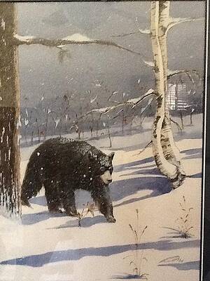 WALKING SOFTLEY by Judi Hendricks WALKING SOFTLEY by Judi Hendricks