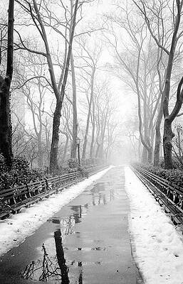 Walkway Snow and Fog NYC by Dave Beckerman Walkway Snow and Fog NYC by Dave Beckerman