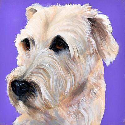 Wally by Cynthia Olson