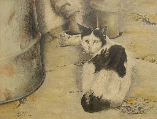 Warehouse Cat by Phil Welsher Warehouse Cat by Phil Welsher