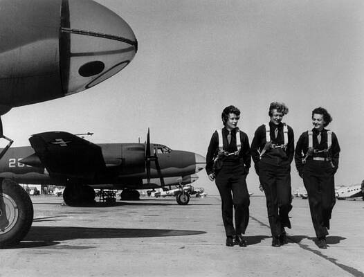 Wall Art - Photograph - Wasps On Flight Line At Laredo Aaf by Everett