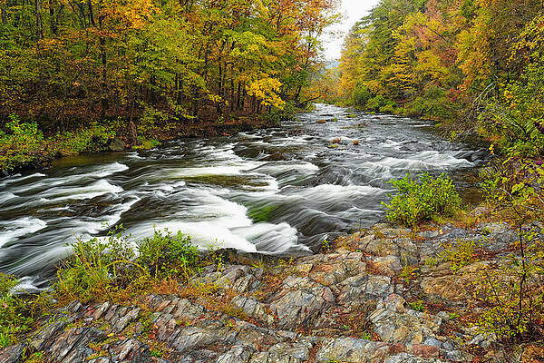 Wall Art - Photograph - Watching it all go by  at Beaver's Bend Broken Bow Fall  Foliage Oklahoma by Silvio Ligutti