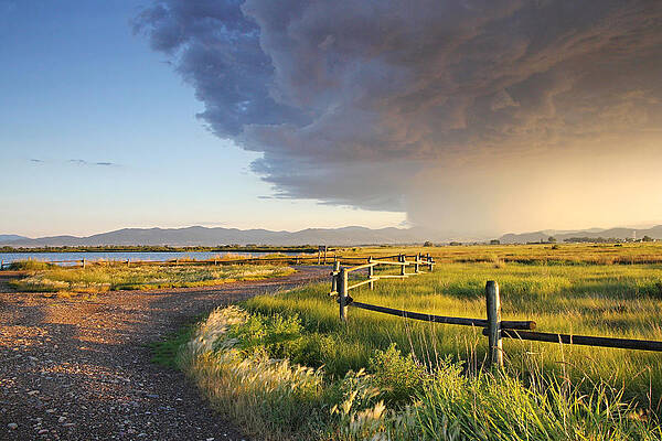 Watching the Storm by Dana Moyer