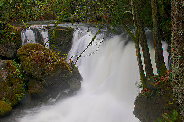 Watcom Falls by Jerry Druhan