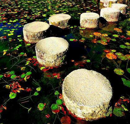 Water Path by Julia Ivanovna Willhite Water Path by Julia Ivanovna Willhite