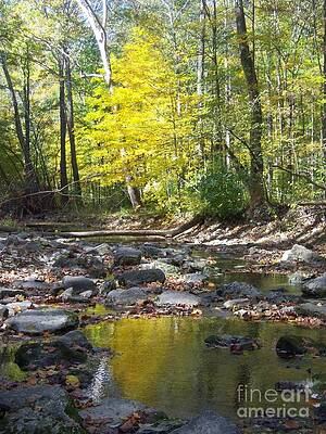 Water Trail McCormick's Creek State Park by Pamela Clements