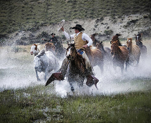 Water Wranglers by Pamela Steege Water Wranglers by Pamela Steege