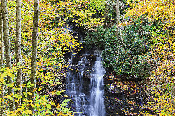 Wall Art - Photograph - Waterfall in the Fall by Jill Lang