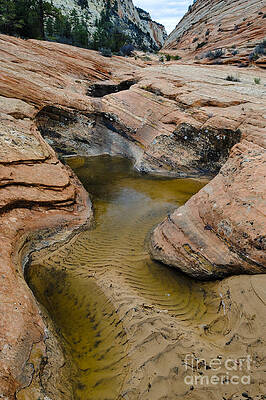 Wall Art - Photograph - Waterpocket In Sandstone by John Shaw